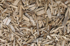 biomass boilers Hermiston
